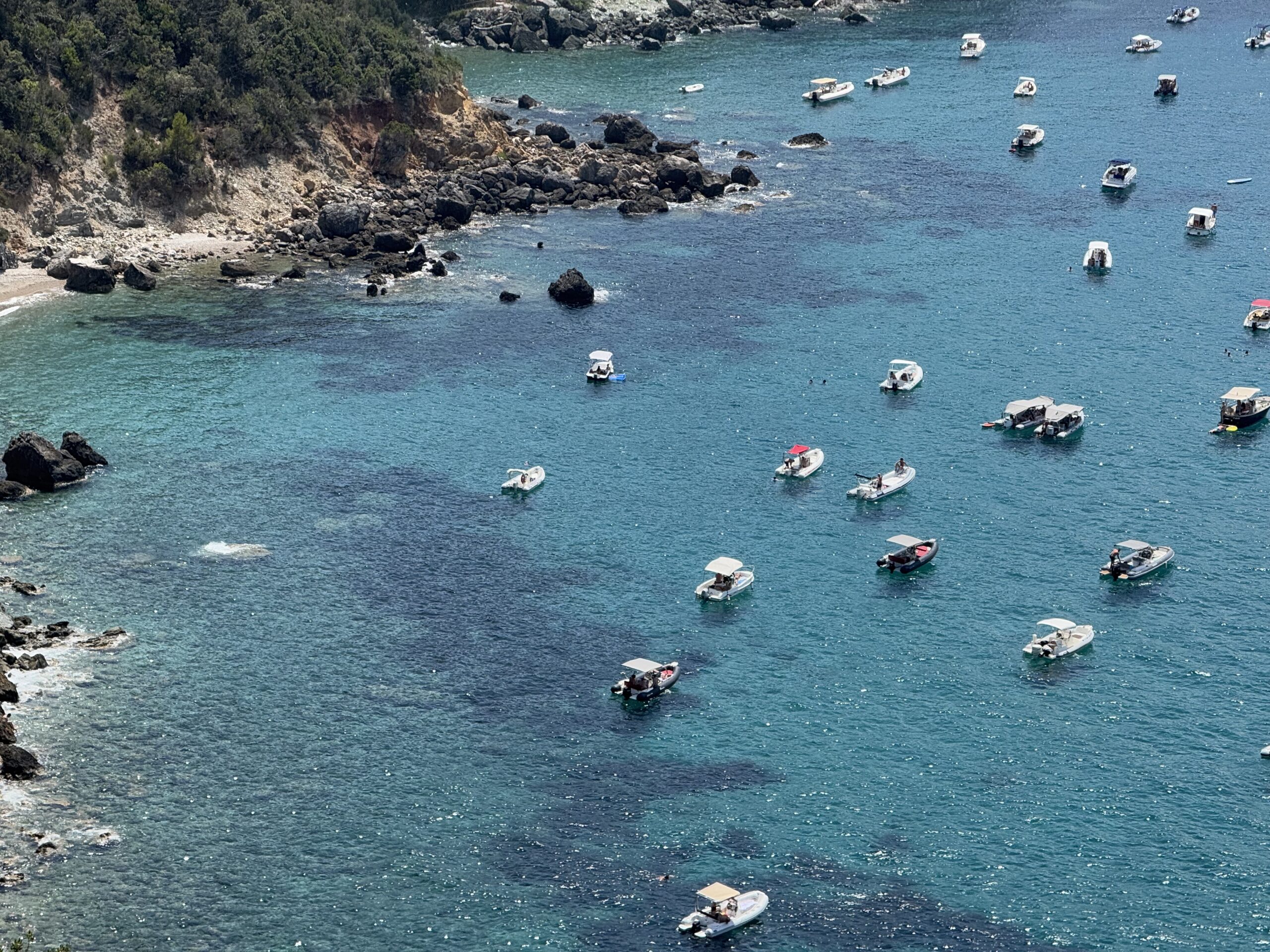 Local food experience at Private tours in Florence Tuscany & Italyt