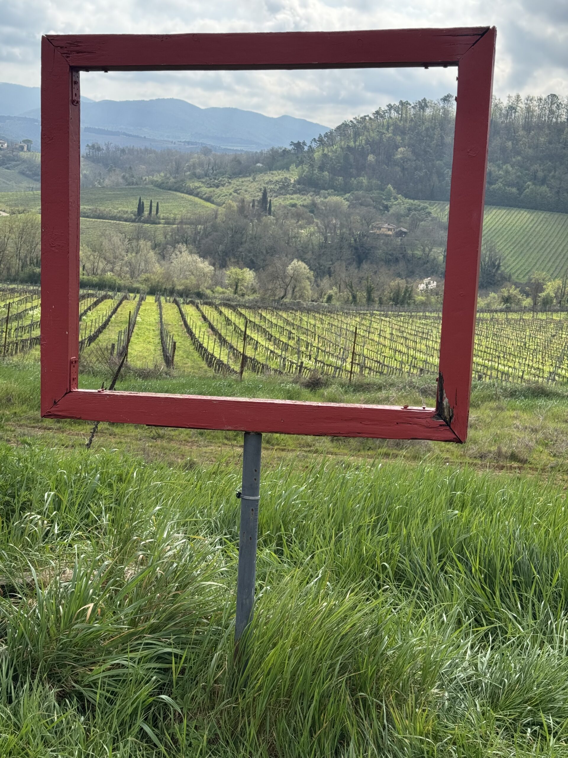 Private tours in Florence Tuscany & Italy